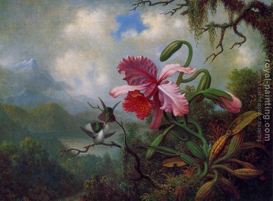 Martin Johnson Heade : Orchid and Hummingbirds near a Mountain Lake